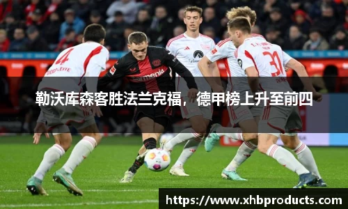 mk体育