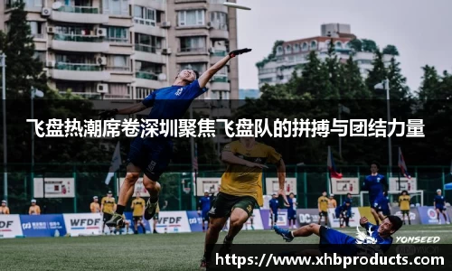 MKSPORTS体育