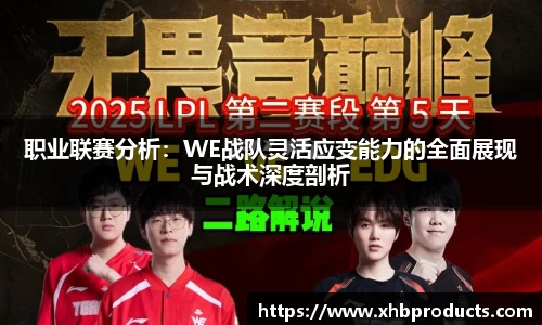 mk体育官网