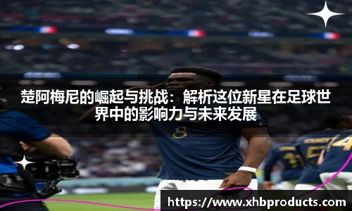 mk体育