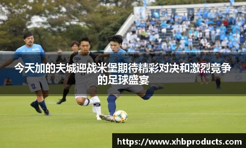 mk体育